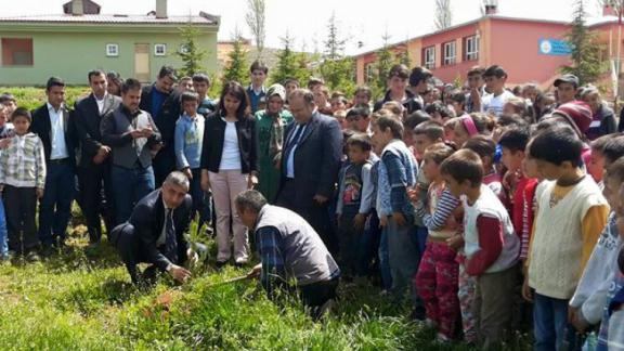 Çatalçam Köyü İlk / Ortaokulu´nun hazırlamış olduğu okul bahçesine ağaç dikme projesi